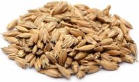 #DoYourYoga - 20 kg zak van bio-organische spelt