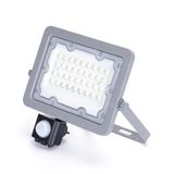 VoltShine Led-spot, 30 W, koudwit, 6500 K, waterdicht (IP65), met bewegingsmelder
