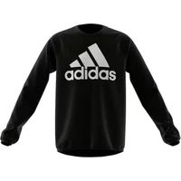 Adidas Kinder sweatshirt Designed To Move Big Logo