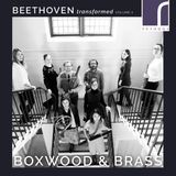 PIAS Nederland Boxwood & Brass - Beethoven Transformed Volume 2 (CD)