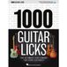 1000 Libri GmbH 1000 Guitar Licks
