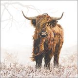 Ambiente Servetten - Highlander - Papieren Servetten - Koe - 20 Stuks