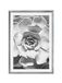 Komar Fotolijst hout Stone Silver met kunst poster "Succulent Closeup" als set - 50x70 cm