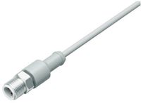 Binder 77 3729 0000 40908-0500 Sensor/actuator connector, M12, straight, grey, 1 piece