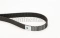 Continental Contitech CT1134 tandriem