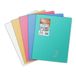Clairefontaine 981441C, Cahier, Assorted colours, 96 vel, 90 g/m², Softcover, Genaaid gebonden