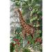 Papier peint panoramique girafe 159 cm x 255 cm