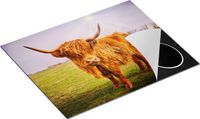 Chefcare Inductie Beschermer Bruine Schotse Hooglander Koe - Multicolor - 65x52 cm