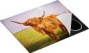 Chefcare Inductie Beschermer Bruine Schotse Hooglander Koe - Multicolor - 65x52 cm