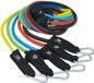 Schildkröt Expander Resistance Tubes, 5 weerstandsbanden met voetlussen, handgrepen en deuranker, 11-delige expander set, fitnessbanden voor training van het hele lichaam, incl. draagtas, 960125