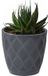 Form Plastic Plantenpot/bloempot New Age - kunststof - antraciet - D27 x H24 cm - met opvang schotel - rond