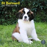 Baker & Bray Sint Bernard Kalender 2027