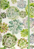 Peter Pauper compacte notitieboek - Succulent Garden - met elastieksluiting - 13x18 cm