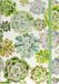 Peter Pauper compacte notitieboek - Succulent Garden - met elastieksluiting - 13x18 cm