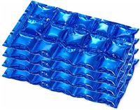 Merkloos / Sans marque Edco Eindhoven Bv Flexibel koelelement - koelkussen voor koelbox of koeltas - 15 x 25 cm - Blauw