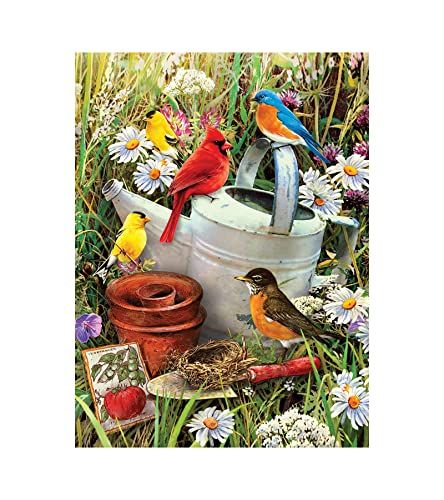 Pracht Creatives Hobby Royal & Langnickel - Painting by Numbers Junior "Birds" - 8+ Years
