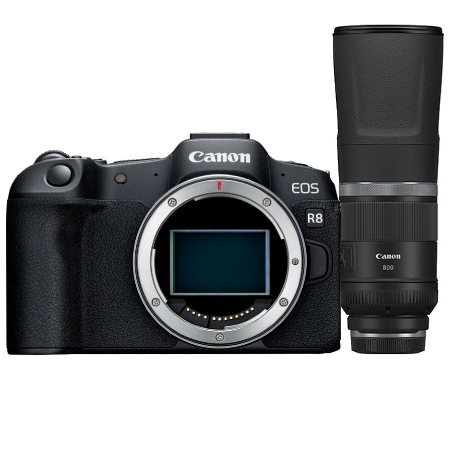 Canon Canon EOS R8 body + RF 800mm F/11.0 IS STM
