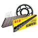 Kettingset DID Kettingset staal 530VX3 / 106 eindeloos voor Yamaha XS 250 cc bj. 1977-1981
