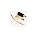 Delphi FE0438-12B1 brandstofpomp