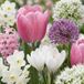 Green boutiQ - 250x Bulb Garden Pink - Bollentuinroze - Diversen - Zomerbloeier - Bolmaat 10/12