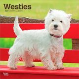 West Browntrout Publishers West Highland White Terriers - Westhighland White Terrier - Westies 2027 - 16-Monatskalender