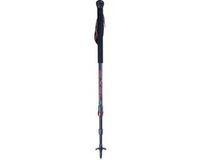 Exel Nordic Walking Stokken Point 100-135 Cm Aluminium Zwart