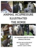 Animal Createspace Independent Publishing Platform Animal Acupressure Illustrated The Horse