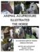 Animal Createspace Independent Publishing Platform Animal Acupressure Illustrated The Horse