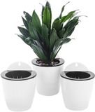 Ibenzoa® Innovatieve Zelfwaterende Hangende Bloempotten Set