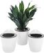 Ibenzoa® Innovatieve Zelfwaterende Hangende Bloempotten Set