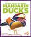 Mandarin Libri GmbH Science Behind the Colors- Mandarin Ducks Paperback