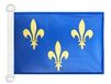 AZ FLAG Bootvlag Lelie blauw en goud meervoudig 45x30 cm Plastic Ringen