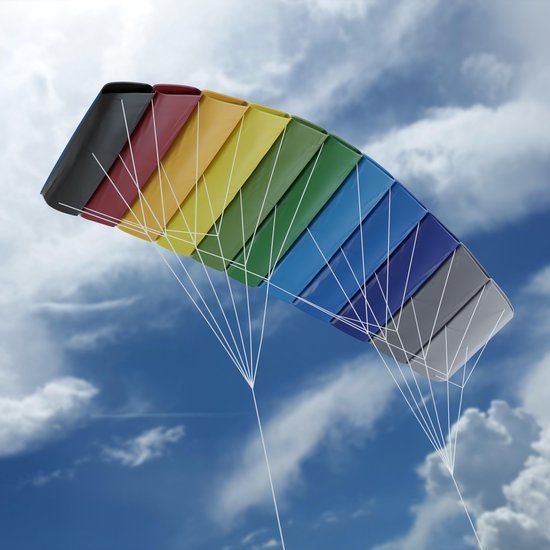 Tickle Bee Power Kite - Matrasvlieger - XXXL Edition 1.8M - Multicolor