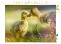CALVENDO Puzzel Zachte ontmoeting - Een moment onder ganzendkuikens | 1000 stukjes legformaat 64 x 48 cm fotopuzzel voor gelukkige uren