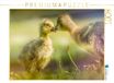 CALVENDO Puzzel Zachte ontmoeting - Een moment onder ganzendkuikens | 1000 stukjes legformaat 64 x 48 cm fotopuzzel voor gelukkige uren