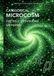 Categorical Microcosm: The Self-Describing Universe