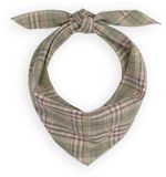 Bonnie & Clyde Studios BONNIE STUDIOS Plaid Scarf Dames Sjaal Groen Katoen