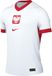 NIKE Pol M Nk Df Jsy Ss Stad Hm heren Shirt