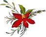 Sizzix Thinlits Die Set Holiday Brushstroke #3 8 Pieces