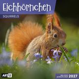 Eichhörnchen Ackermann Eichhörnchen Kalender 2027 - 30x30 - Art12