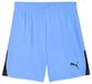 PUMA heren Gebreide Shorts Teamliga26 Shorts