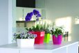 Prosperplast Coubi Pot de fleurs rond avec soucoupe