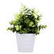 Meneco Kleine nepplant in pot - kunstplanten kamerplant faux potplant decor voor thuis en op kantoor (Eucalyptus groen)