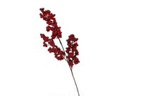 F.G.F. Import Export Lijn Bessen Red Ast 45 cm 03717