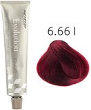 Alfaparf - Evolution of the Color - 6.66 I - 60 ml