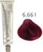 Alfaparf - Evolution of the Color - 6.66 I - 60 ml