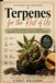 Terpenes for the Rest of Us: A Plain-Language Guide to Shopping, Combining, and Actually Understanding Cannabis
