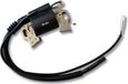 LIFAN Bobine avec câble d'allumage et connecteur pour moteur à essence de 6,5 ch