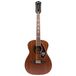 Fender Tim Armstrong Hellcat-12 12 snarige E/A westerngitaar