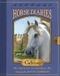 Horse Calvino: Horse Diaries #14